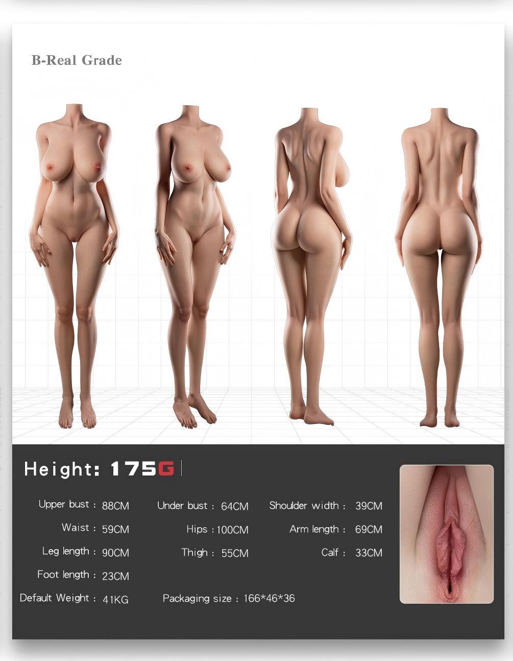 Body-Data (175G)