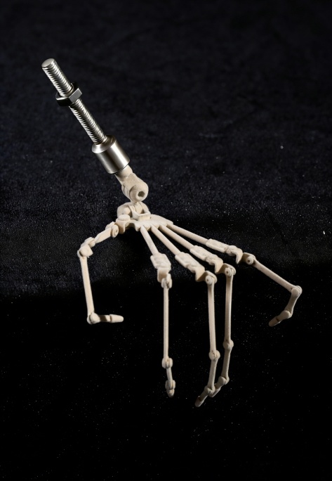 Finger Bones