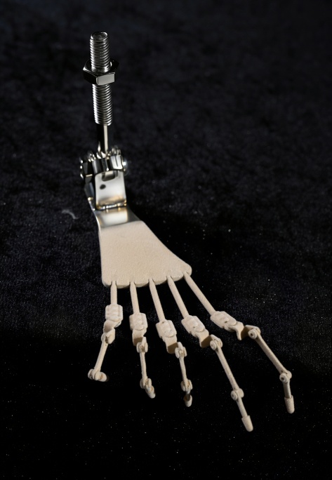 Toe Bones