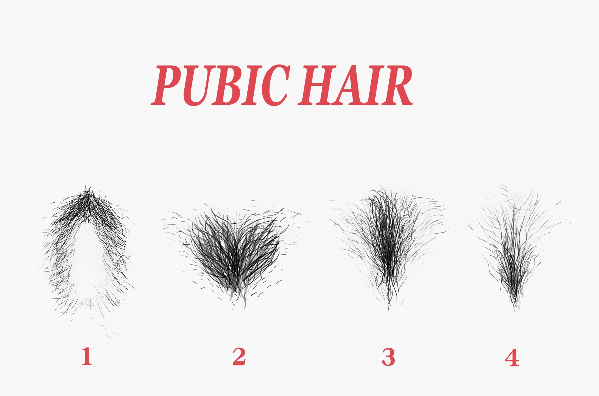 PUBIC HAIR